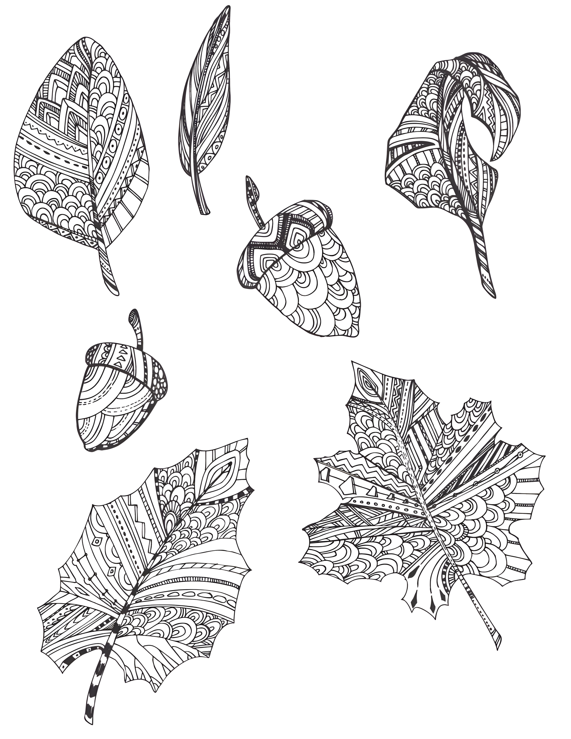 Coloring page of six fall leaves in different shapes, each filled with detailed decorative patterns.
